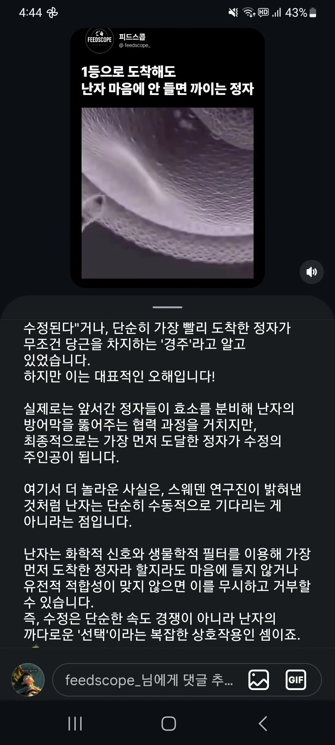 이바보야